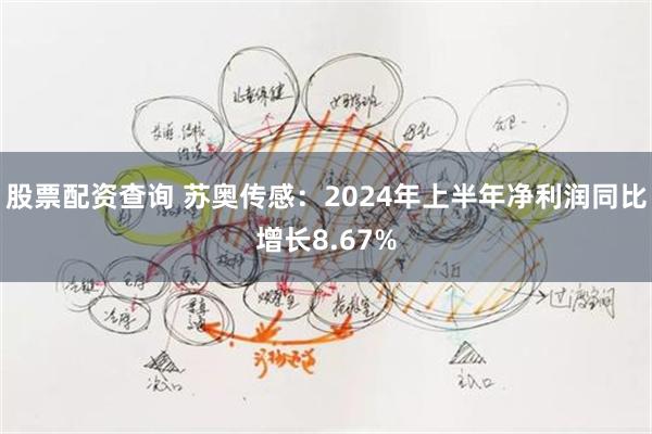 股票配资查询 苏奥传感：2024年上半年净利润同比增长8.67%