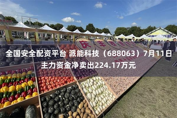 全国安全配资平台 派能科技（688063）7月11日主力资金净卖出224.17万元