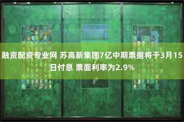 融资配资专业网 苏高新集团7亿中期票据将于3月15日付息 票面利率为2.9%